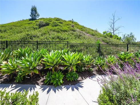 11  Lucente   Lane, Aliso Viejo, CA