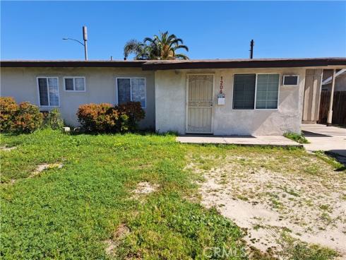 1206 Palm
