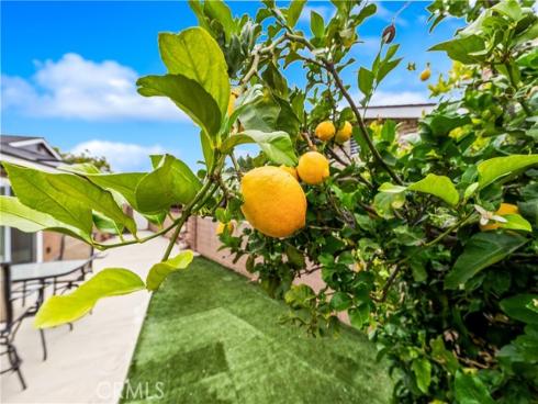 7754  La Casa   Way, Buena Park, CA