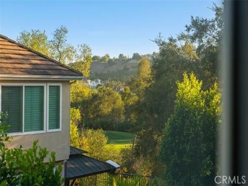 6  Coffeeberry   Court, Coto de Caza, CA