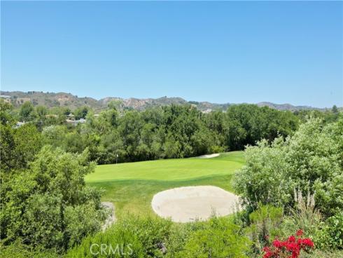 6  Coffeeberry   Court, Coto de Caza, CA