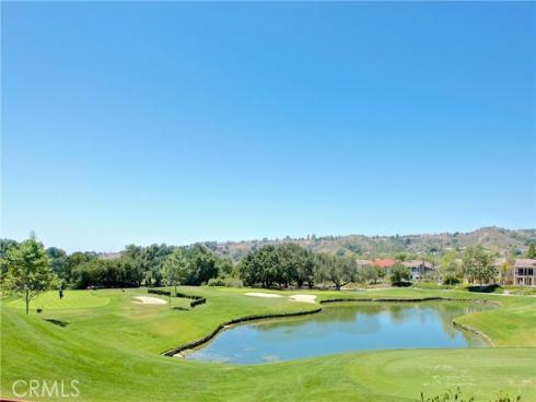 6  Coffeeberry   Court, Coto de Caza, CA