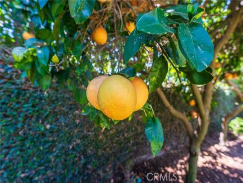 5534 Apia , Cypress, CA
