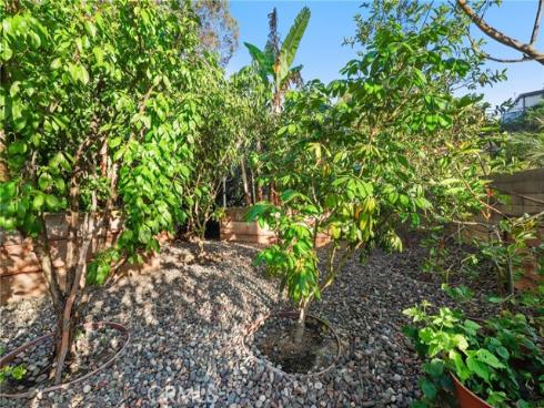 33262  Questa   Way, Dana Point, CA
