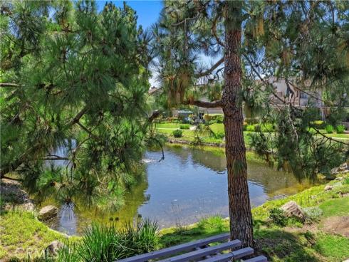 26972 Mill Pond 30 Road, Dana Point, CA