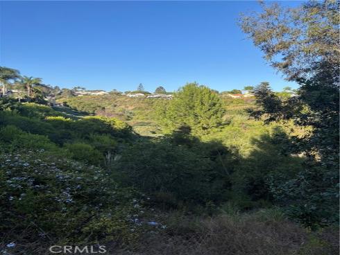33146  Ocean  89 , Dana Point, CA