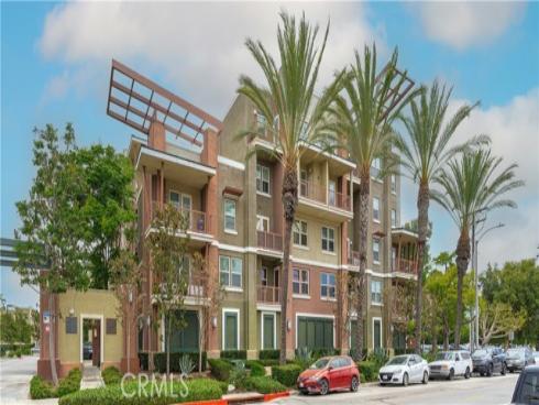 12842 Palm 101