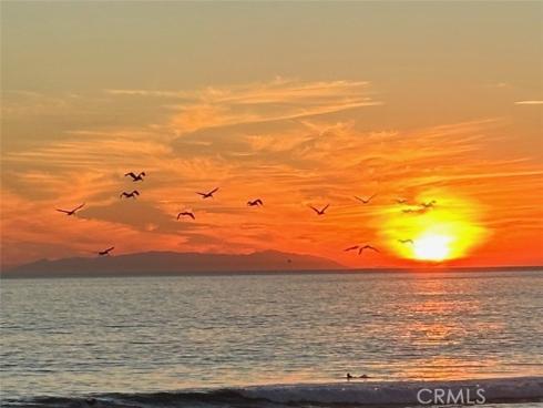 1200  Pacific Coast  426 , Huntington Beach, CA