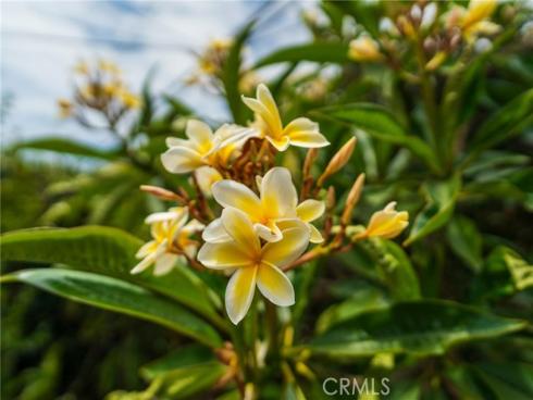 17661 Still Harbor , Huntington Beach, CA