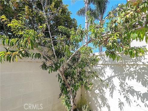 8204 Constantine Drive, Huntington Beach, CA