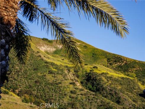 170  Leafy Pass  , Irvine, CA