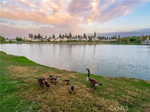 492 E Yale Loop , Irvine, CA