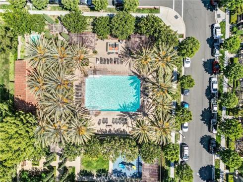 46  New Season  , Irvine, CA