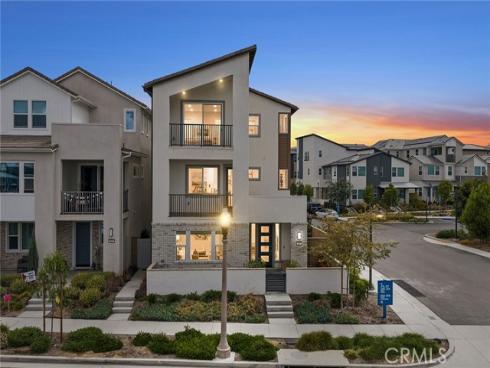 427  Flycatcher  , Irvine, CA