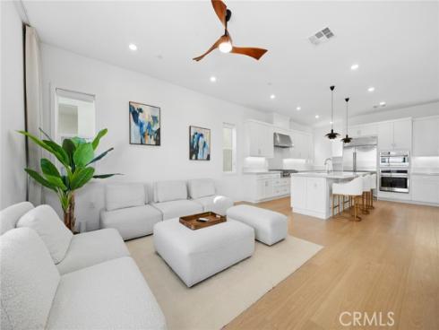 427  Flycatcher  , Irvine, CA