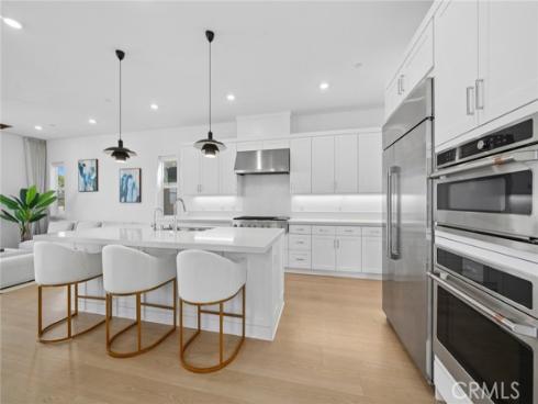 427  Flycatcher  , Irvine, CA
