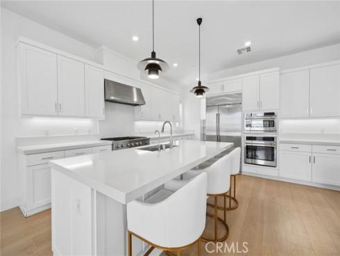 427  Flycatcher  , Irvine, CA