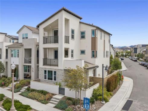 427  Flycatcher  , Irvine, CA