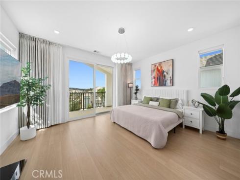 427  Flycatcher  , Irvine, CA