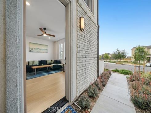427  Flycatcher  , Irvine, CA