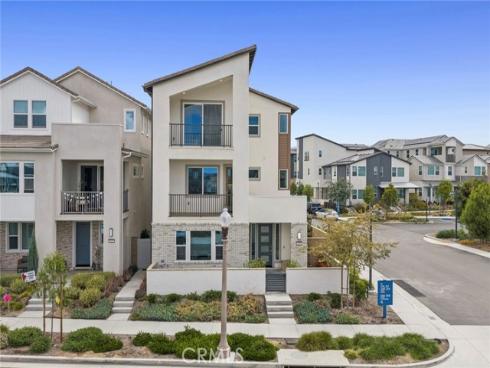 427  Flycatcher  , Irvine, CA