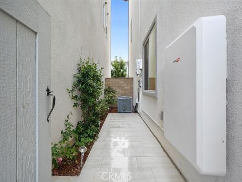 427  Flycatcher  , Irvine, CA