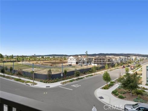 427  Flycatcher  , Irvine, CA