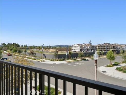 427  Flycatcher  , Irvine, CA