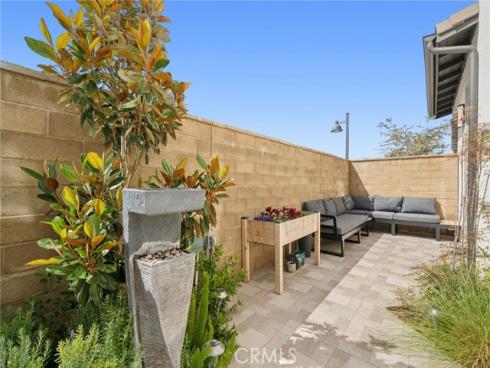 427  Flycatcher  , Irvine, CA