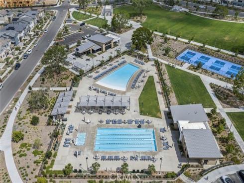 427  Flycatcher  , Irvine, CA