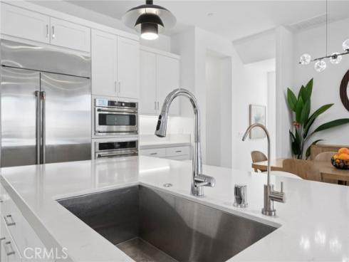 427  Flycatcher  , Irvine, CA