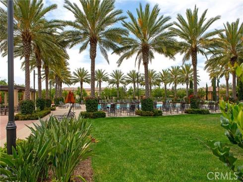 81 Cactus Flower , Irvine, CA