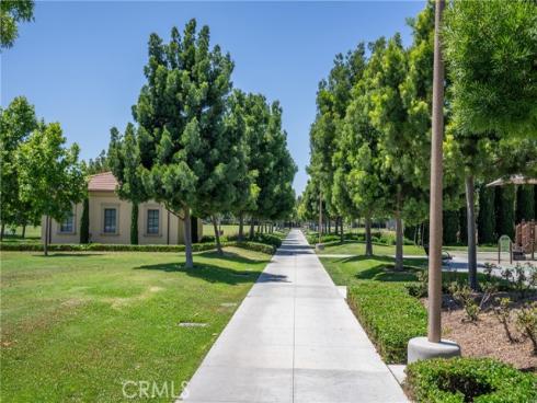 81 Cactus Flower , Irvine, CA