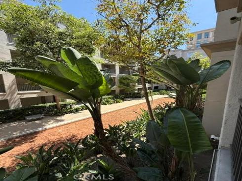 1229 Scholarship , Irvine, CA