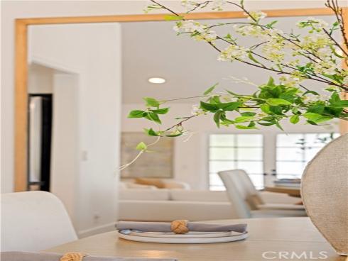 17 Blazing Star , Irvine, CA