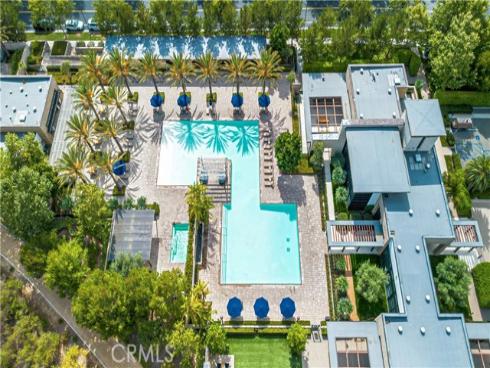 61 Buttonquail , Irvine, CA