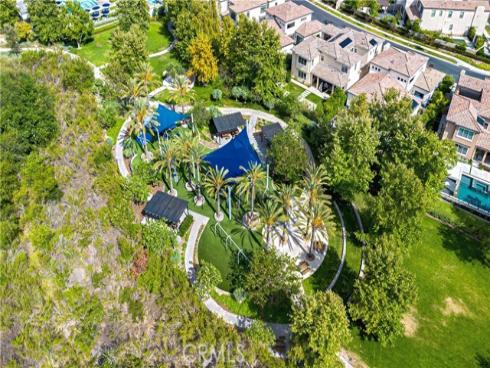 61 Buttonquail , Irvine, CA