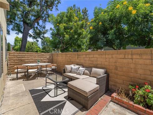 12  Tortoise Shell  , Irvine, CA