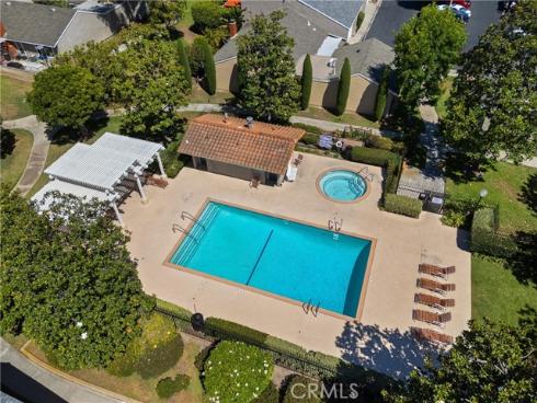 12  Tortoise Shell  , Irvine, CA