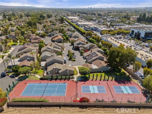 12  Tortoise Shell  , Irvine, CA