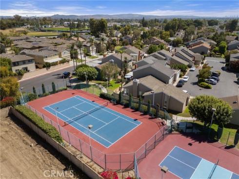 12  Tortoise Shell  , Irvine, CA