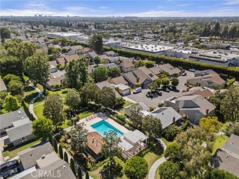 12  Tortoise Shell  , Irvine, CA