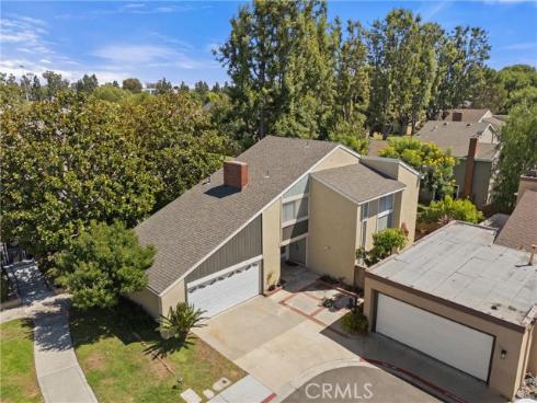 12  Tortoise Shell  , Irvine, CA