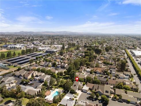 12  Tortoise Shell  , Irvine, CA