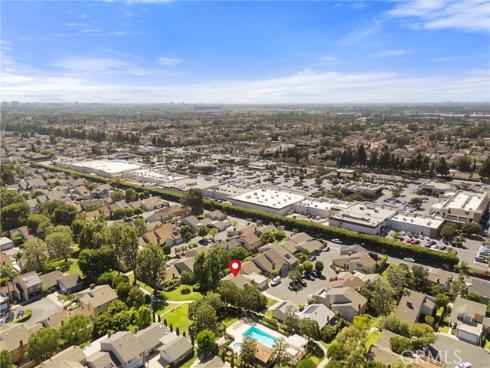 12  Tortoise Shell  , Irvine, CA
