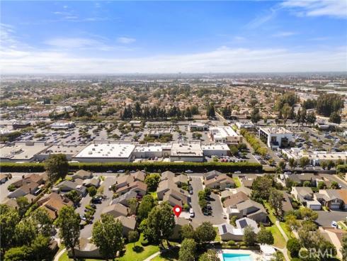 12  Tortoise Shell  , Irvine, CA
