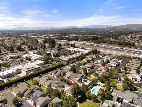12  Tortoise Shell  , Irvine, CA