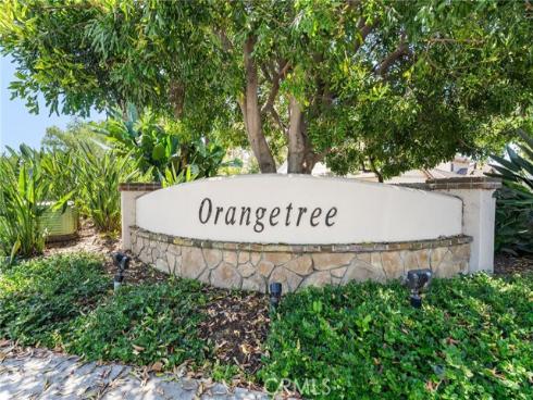 39  Tarocco  , Irvine, CA
