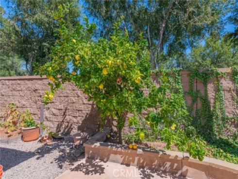 36  Trailing Ivy  , Irvine, CA