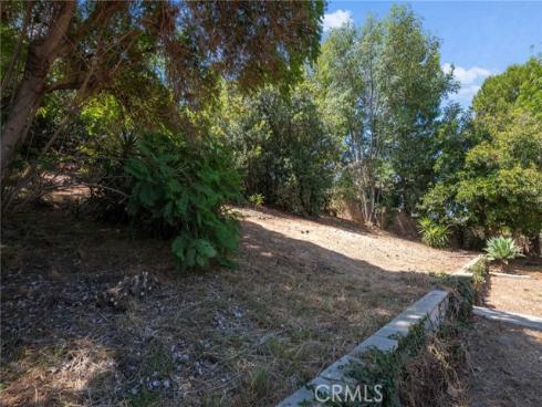 1541 Pinewood Place, La Habra, CA